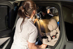 Sydney BMW Car Seat Installation